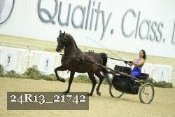24R13_21742 proof