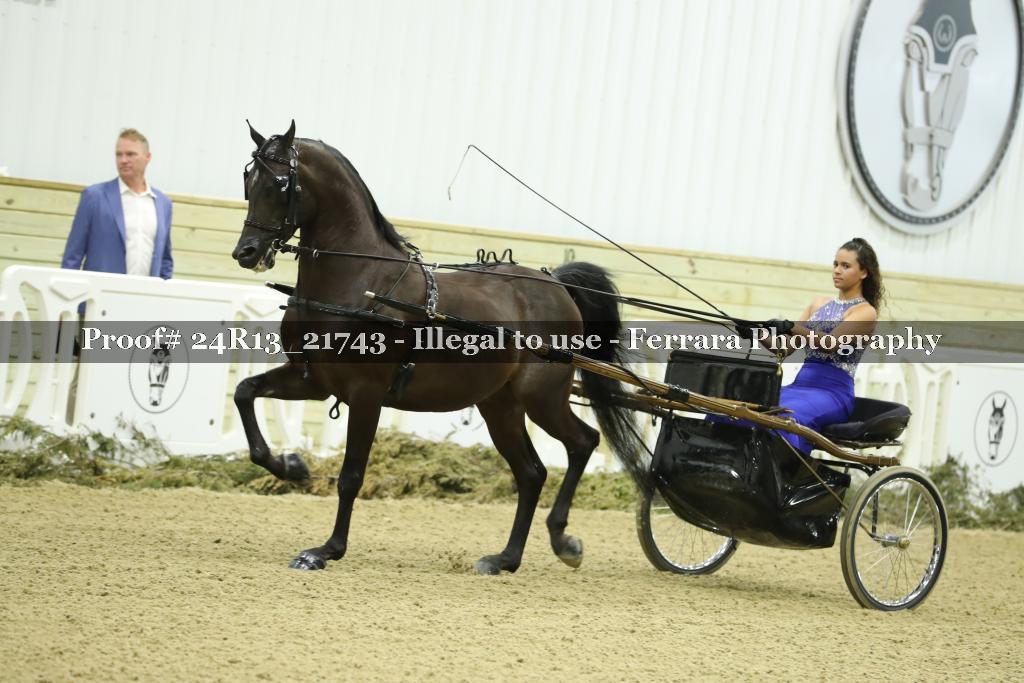 Proof 24R13_21743