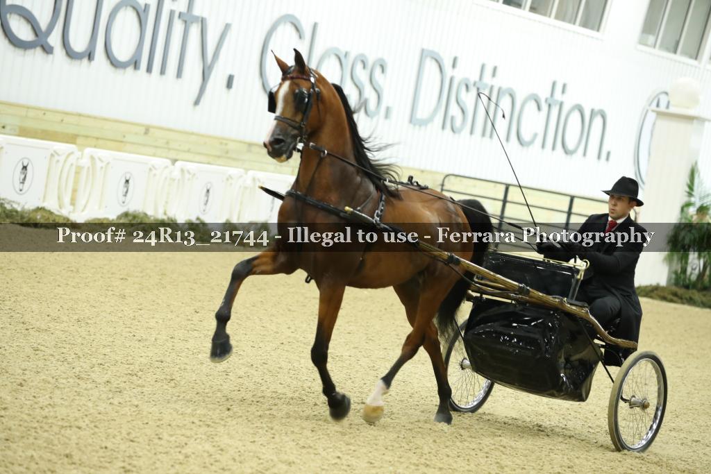 Proof 24R13_21744