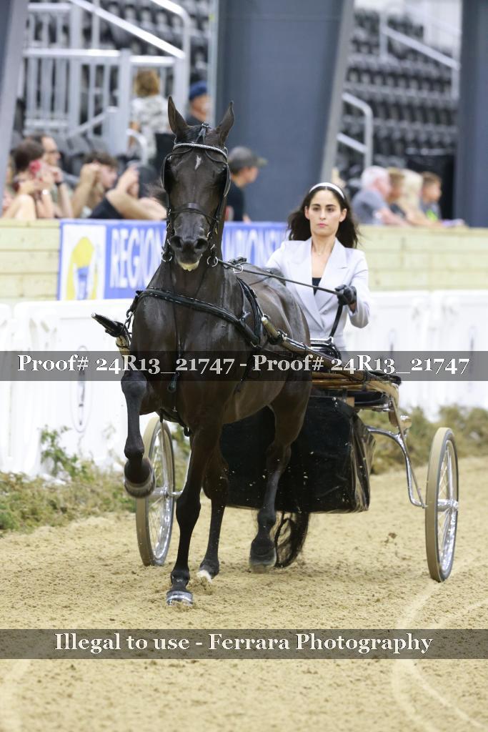 Proof 24R13_21747