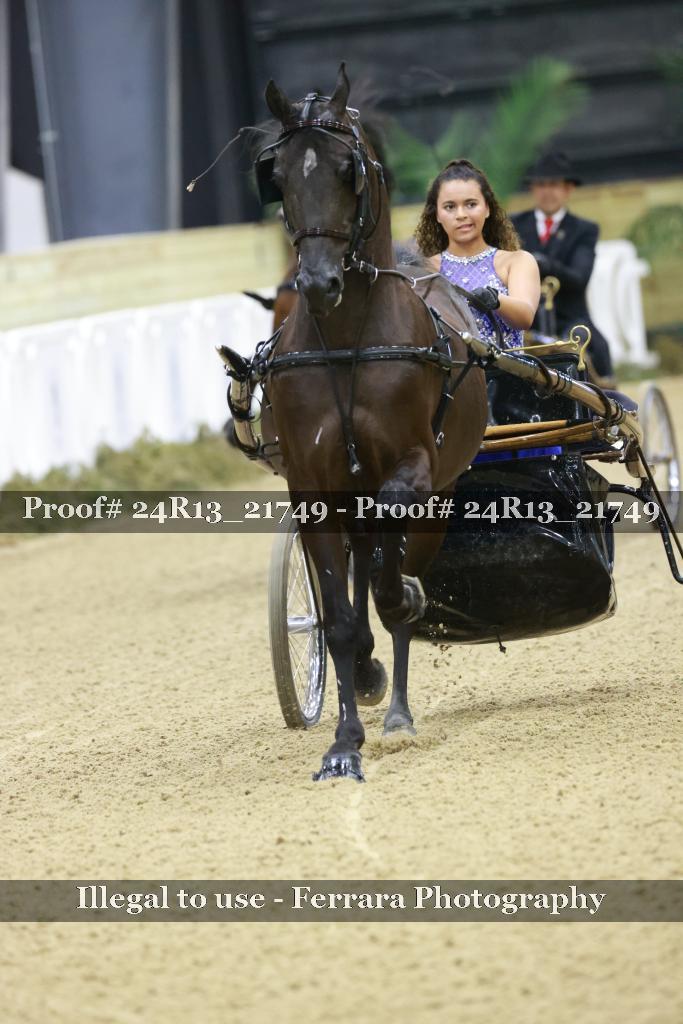 Proof 24R13_21749
