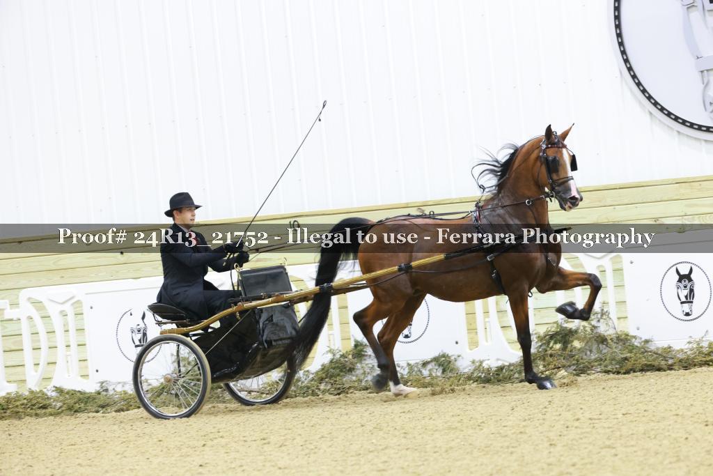 Proof 24R13_21752