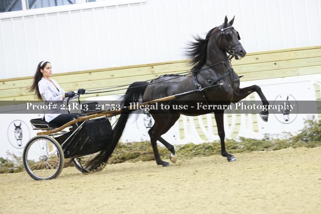 Proof 24R13_21753