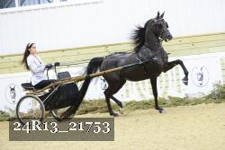 24R13_21753 proof
