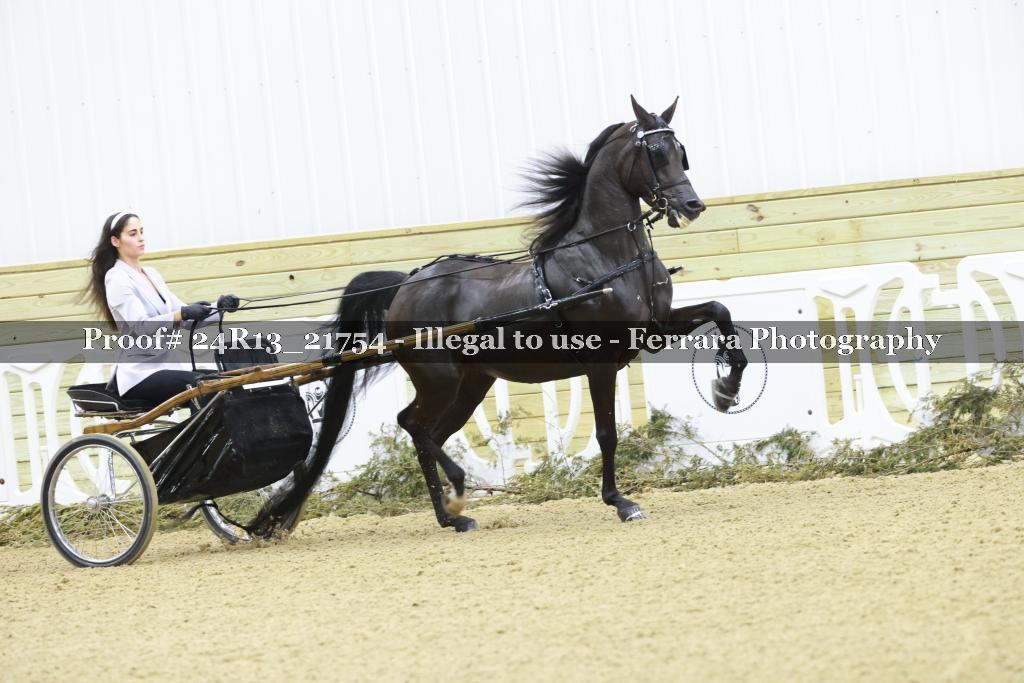 Proof 24R13_21754