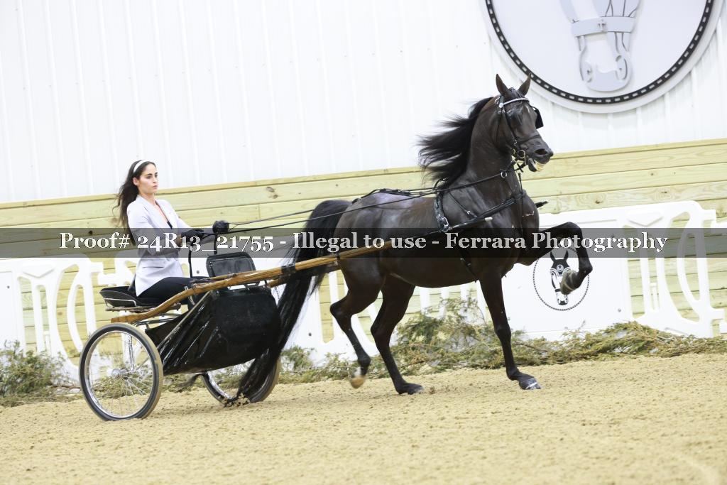 Proof 24R13_21755