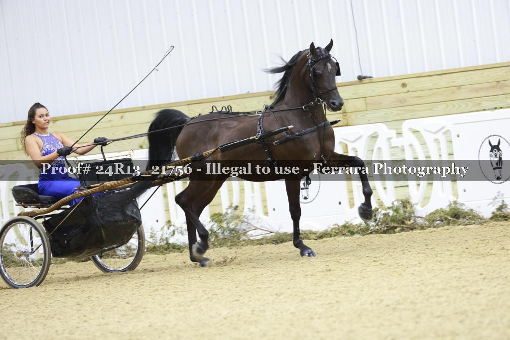 Proof 24R13_21756