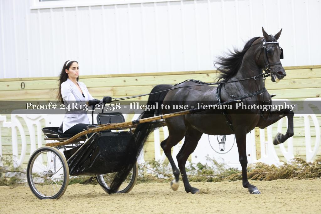 Proof 24R13_21758