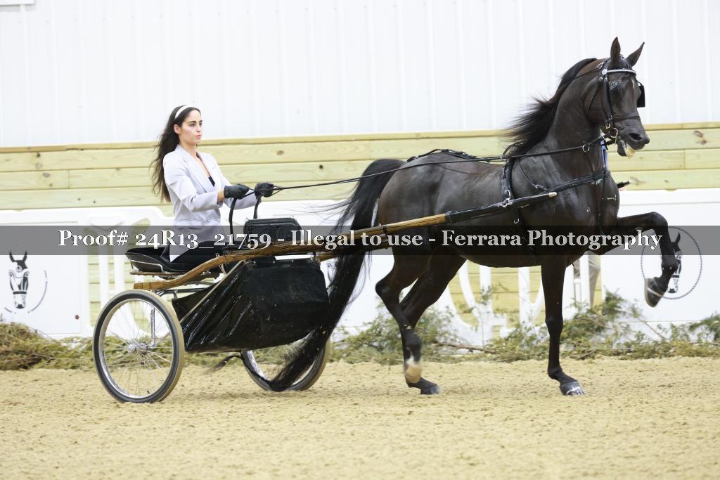 Proof 24R13_21759