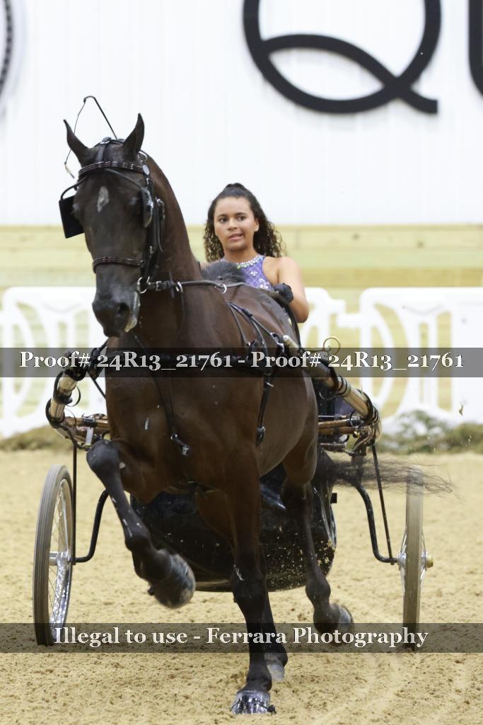 Proof 24R13_21761