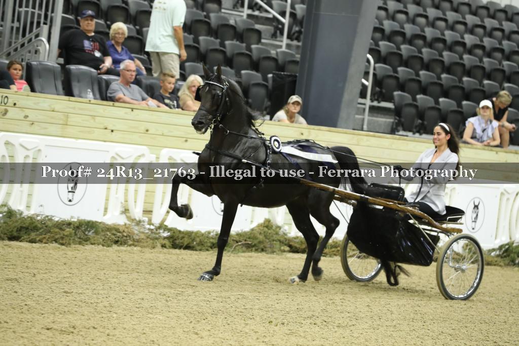 Proof 24R13_21763