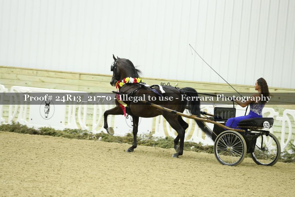 Proof 24R13_21770