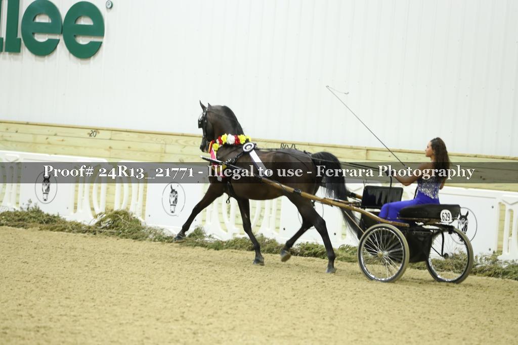 Proof 24R13_21771