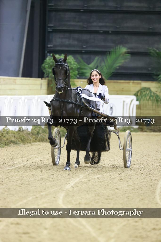 Proof 24R13_21773