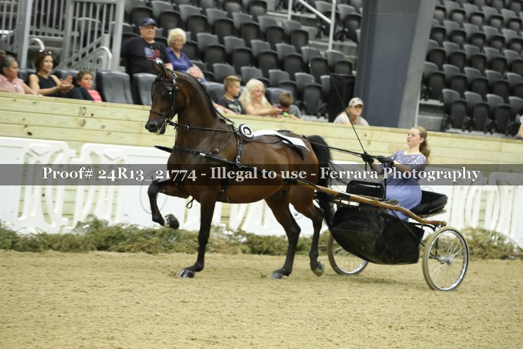 Proof 24R13_21774