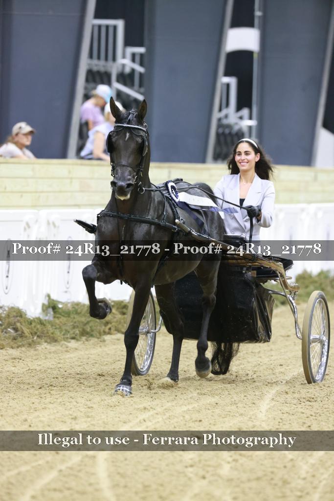 Proof 24R13_21778