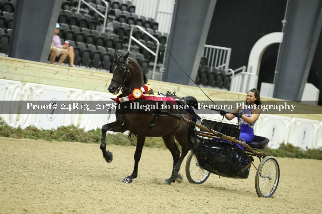 Proof 24R13_21781