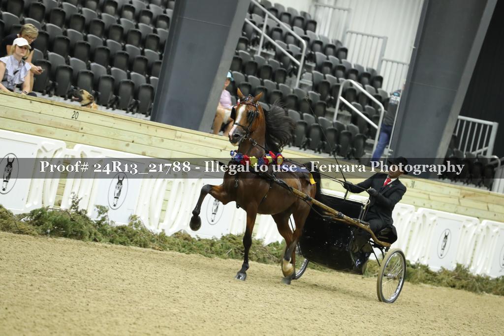 Proof 24R13_21788