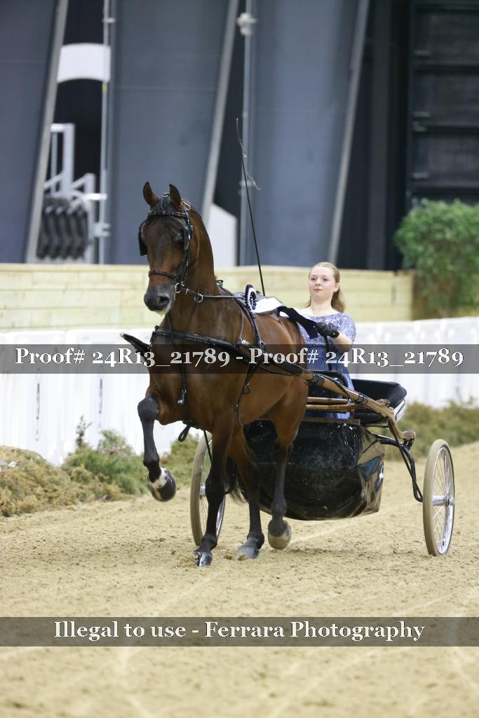 Proof 24R13_21789