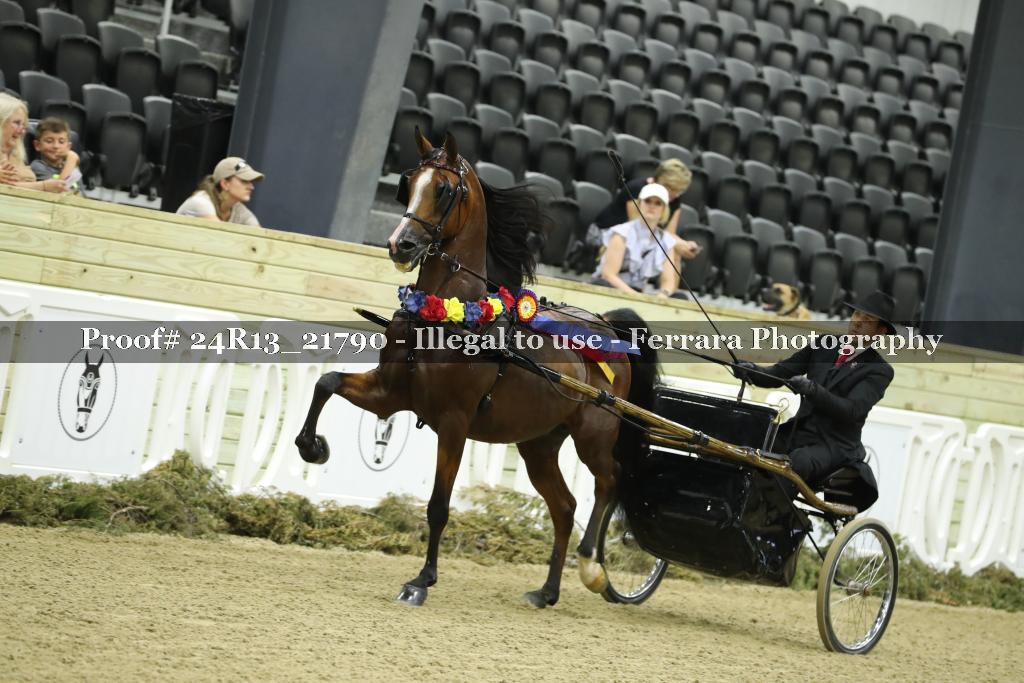 Proof 24R13_21790