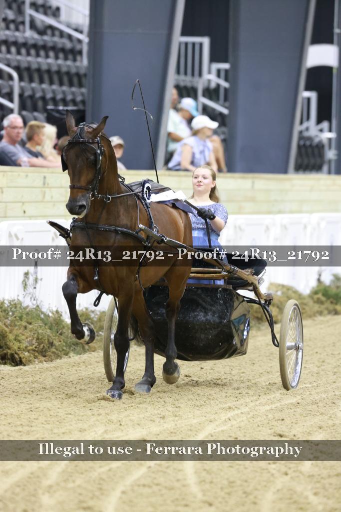 Proof 24R13_21792