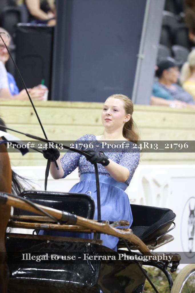 Proof 24R13_21796