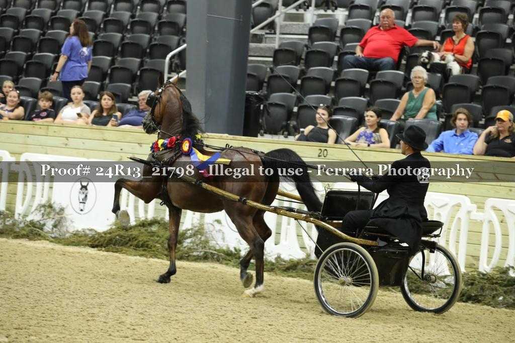 Proof 24R13_21798
