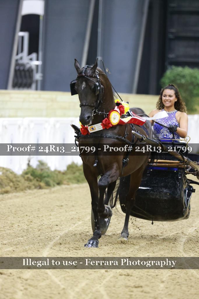 Proof 24R13_21799