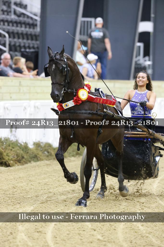 Proof 24R13_21801