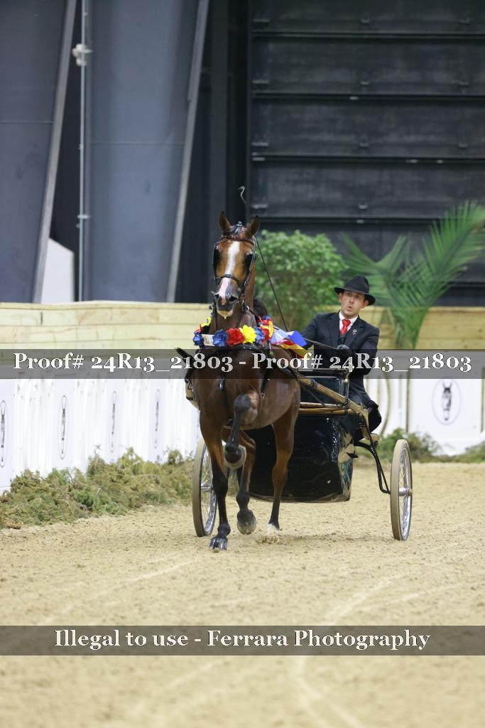 Proof 24R13_21803