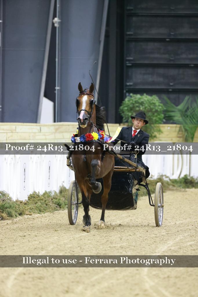 Proof 24R13_21804