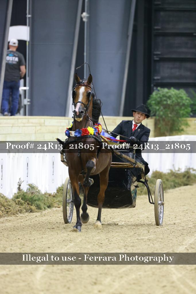 Proof 24R13_21805