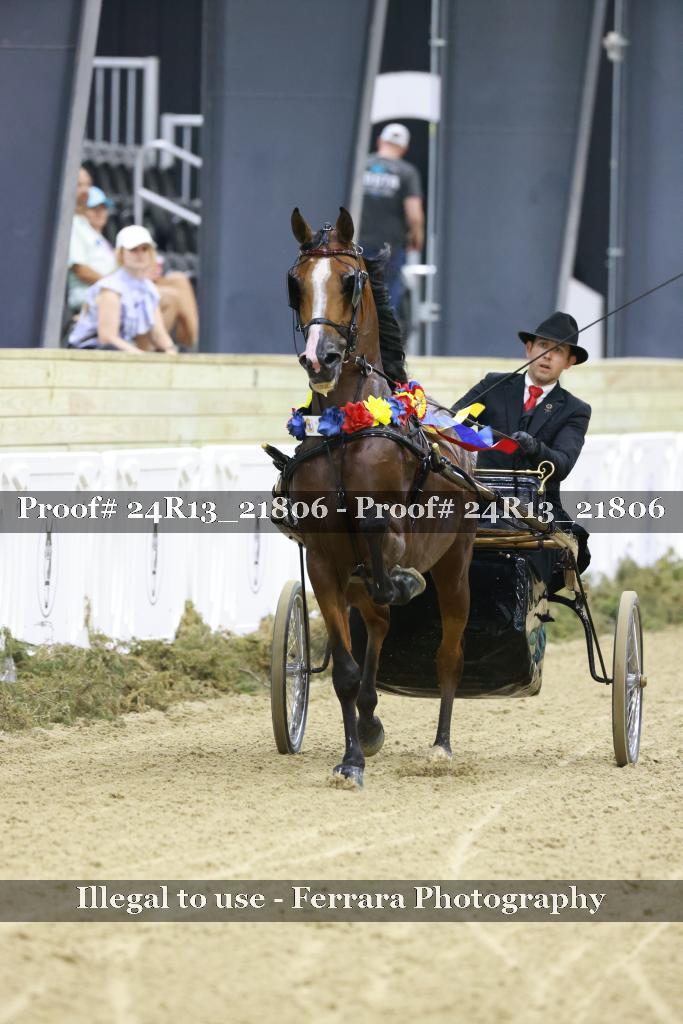 Proof 24R13_21806