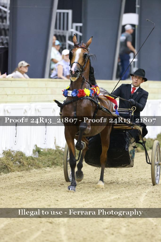 Proof 24R13_21807