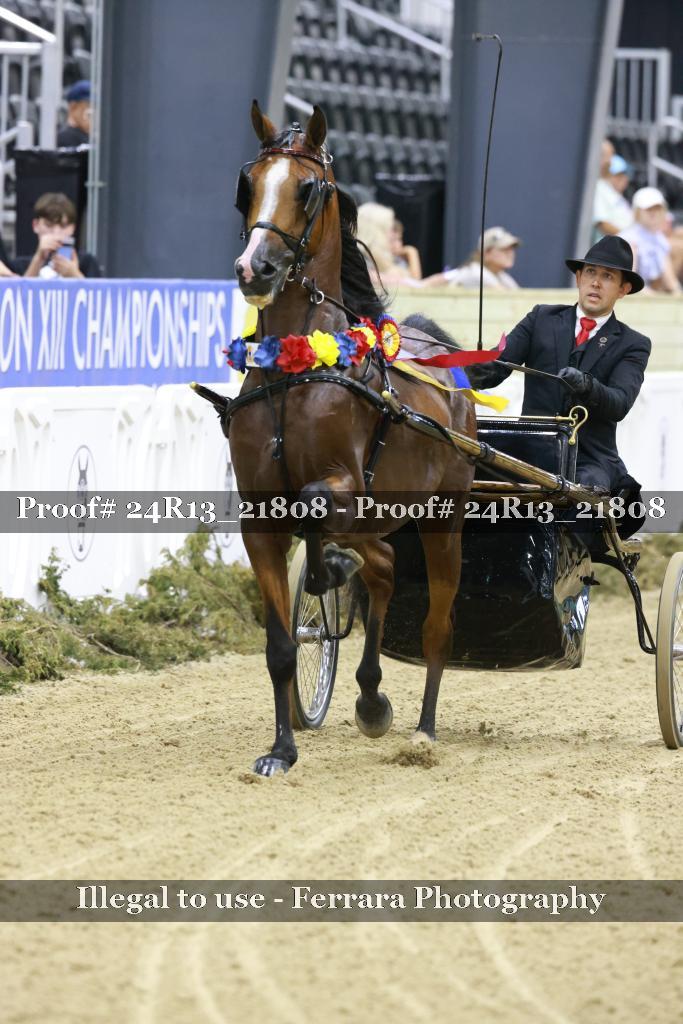 Proof 24R13_21808