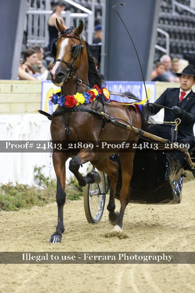 Proof 24R13_21809