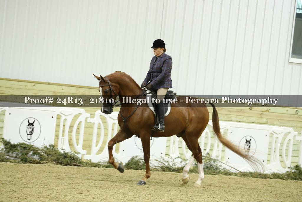 Proof 24R13_21810