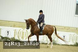 24R13_21810 proof