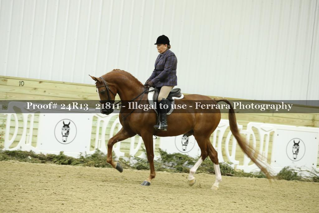 Proof 24R13_21811