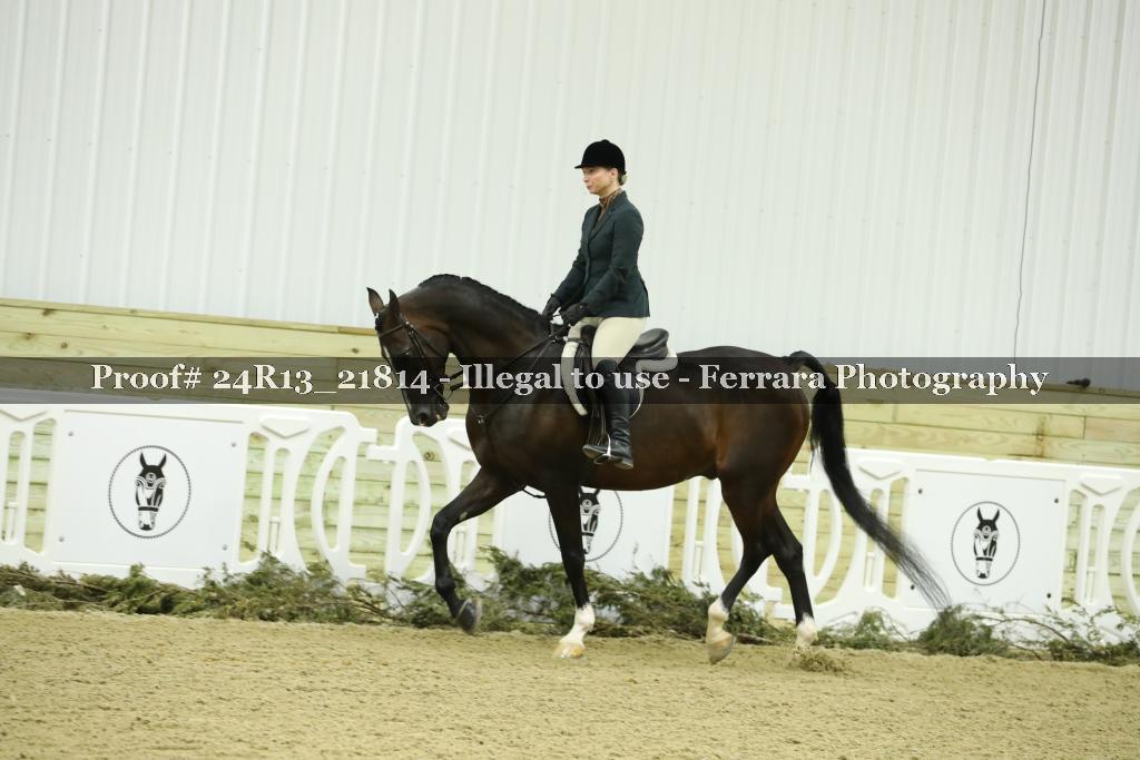 Proof 24R13_21814