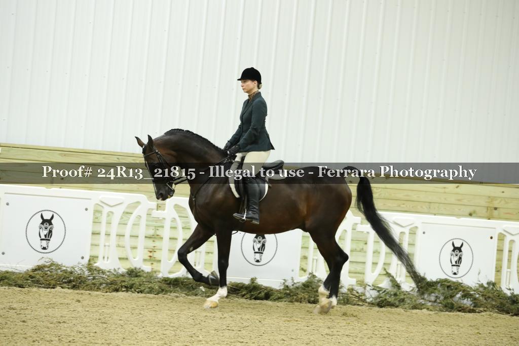 Proof 24R13_21815
