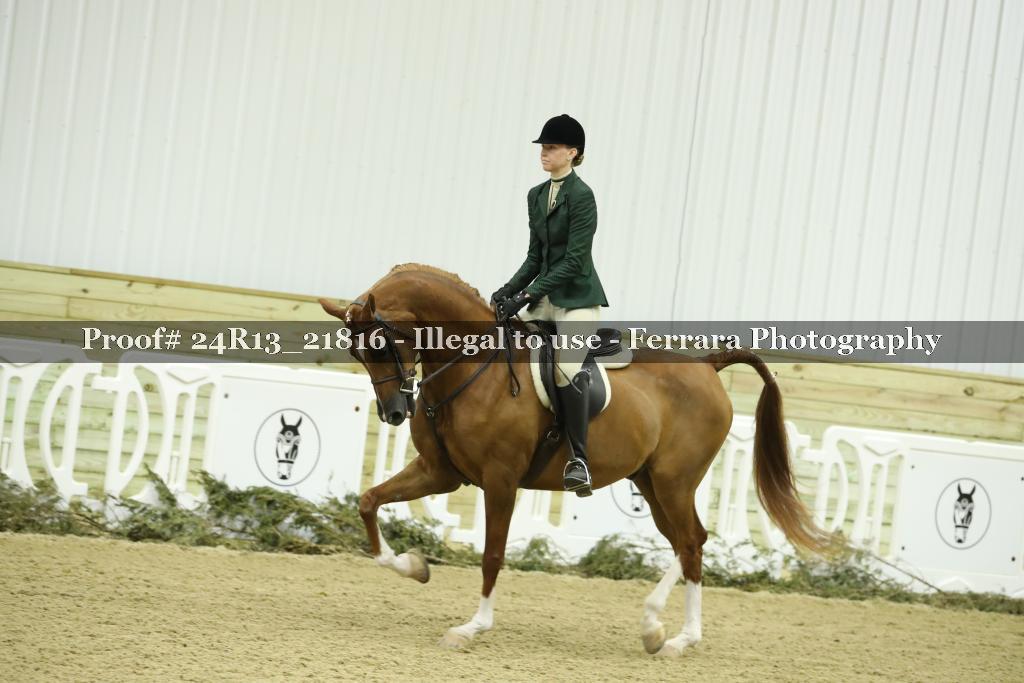 Proof 24R13_21816