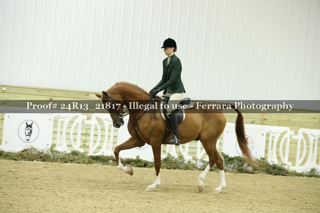 Proof 24R13_21817