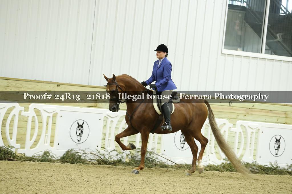 Proof 24R13_21818