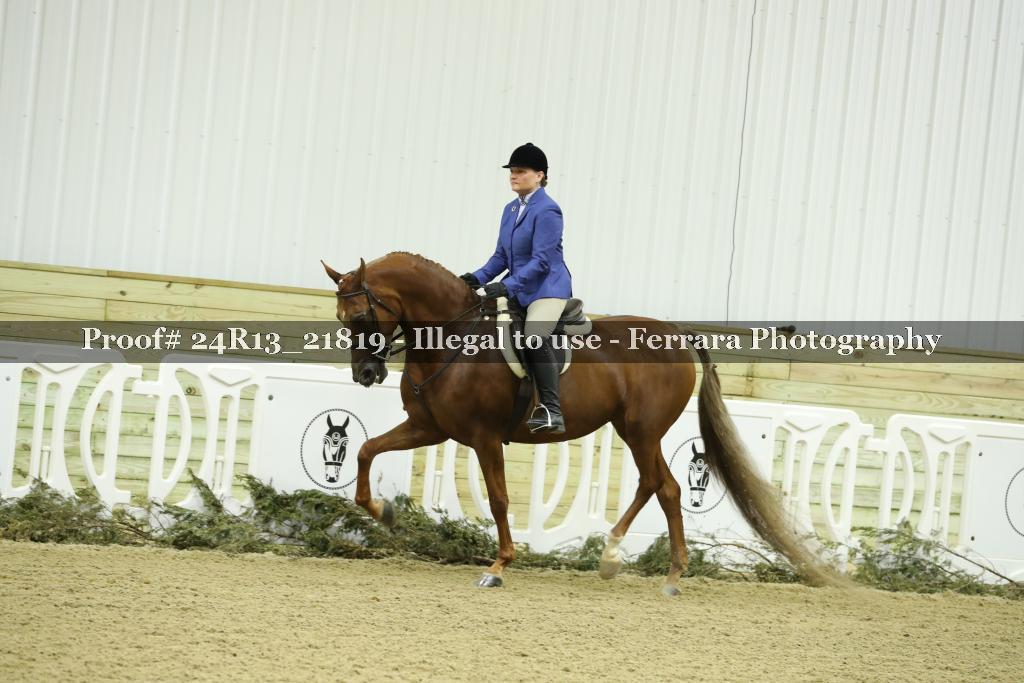 Proof 24R13_21819