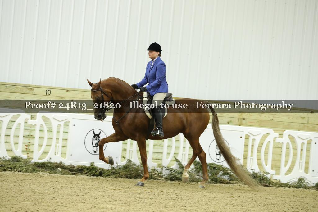 Proof 24R13_21820