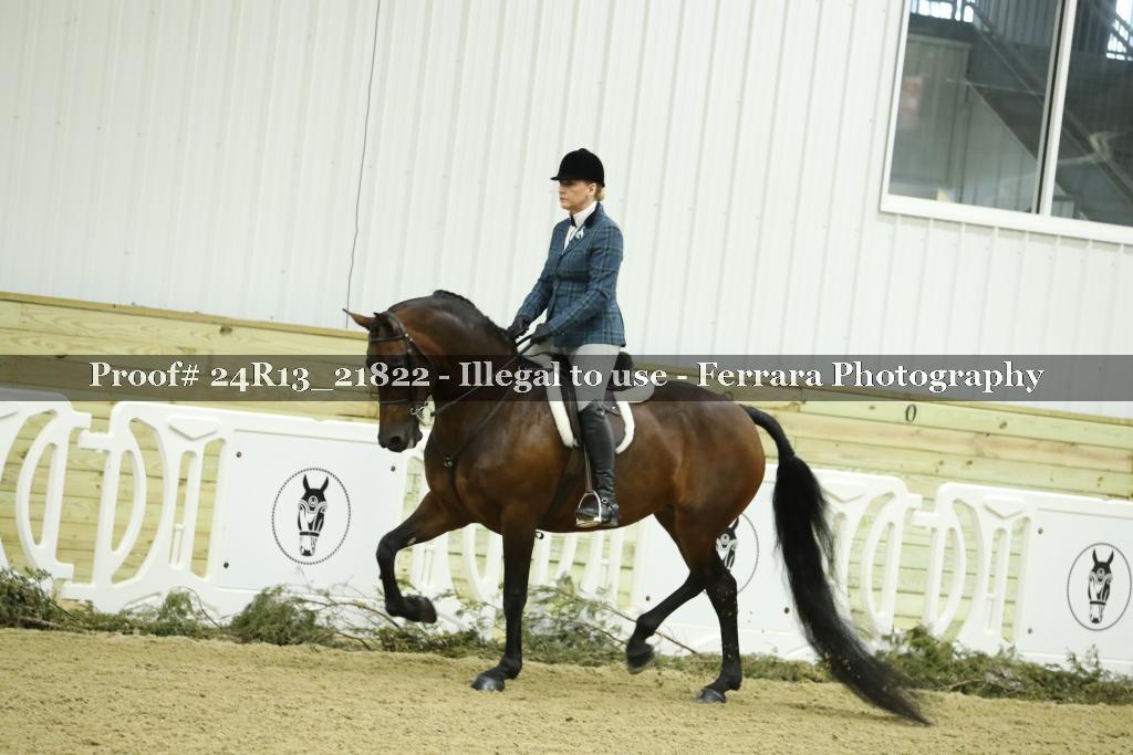 Proof 24R13_21822