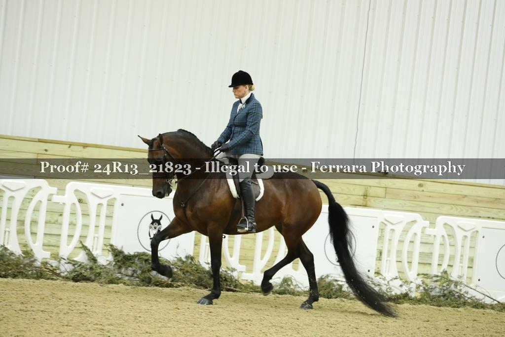 Proof 24R13_21823