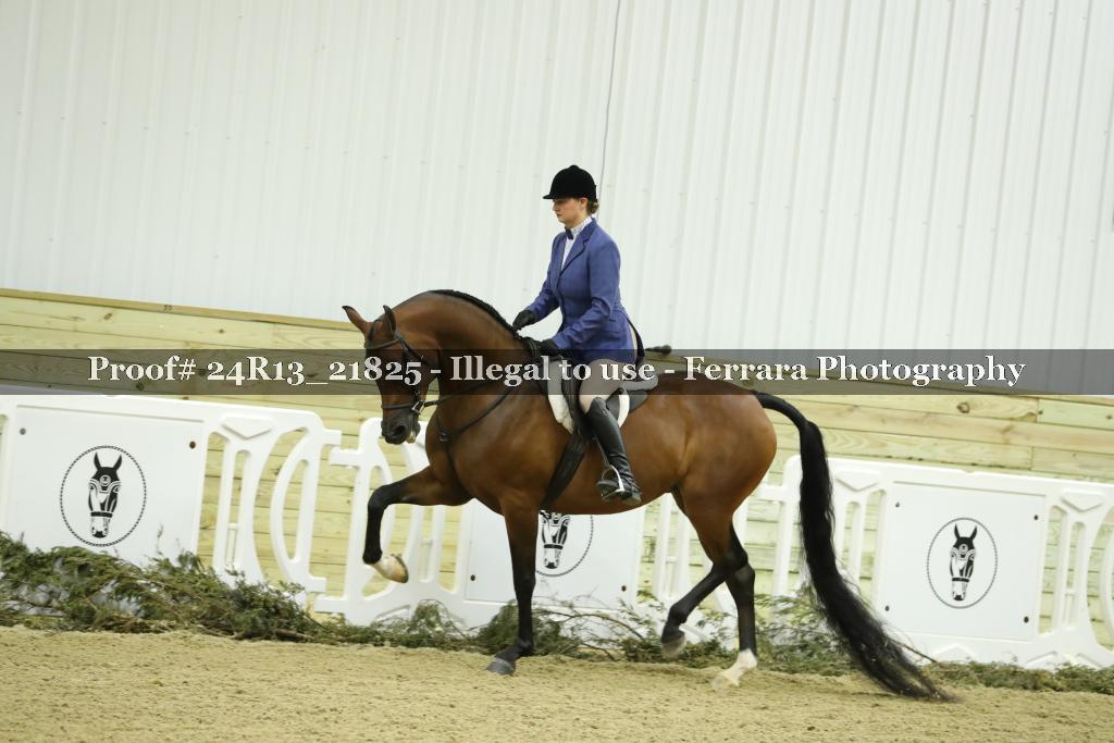 Proof 24R13_21825