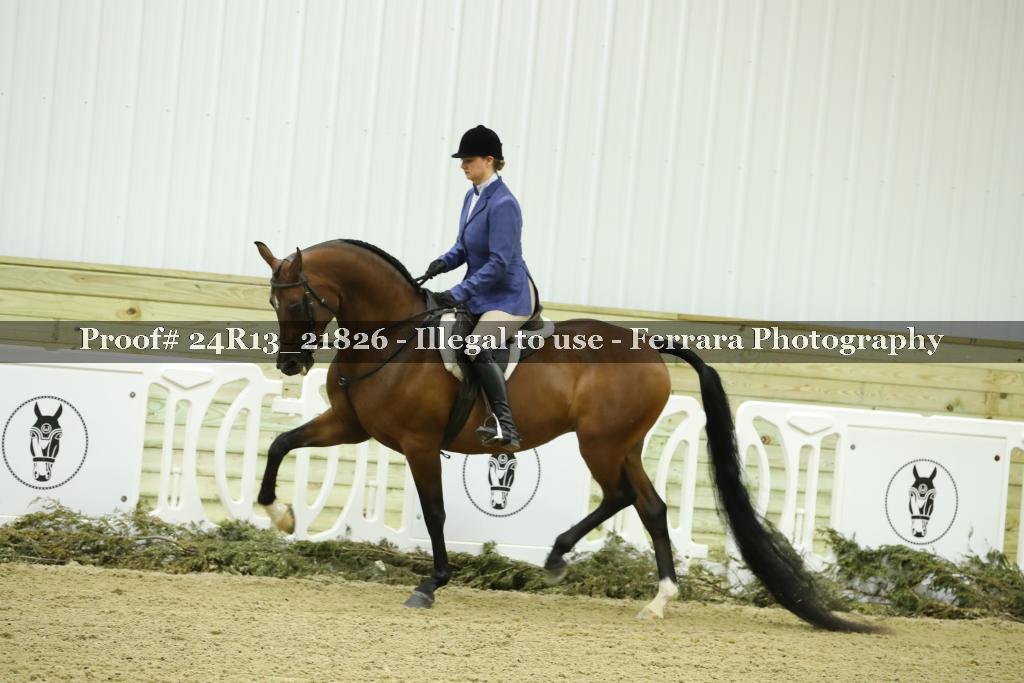 Proof 24R13_21826
